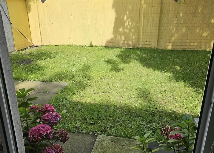 Apartamento Geraeumiges 2-zimmer In Messenaehe Duisburgo